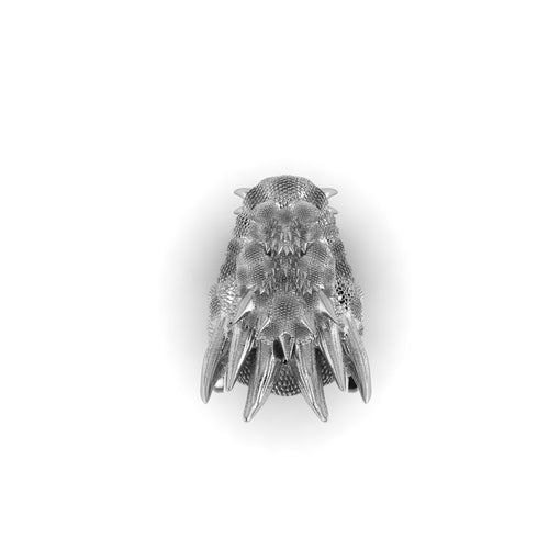Silver Solid Dragon Ring